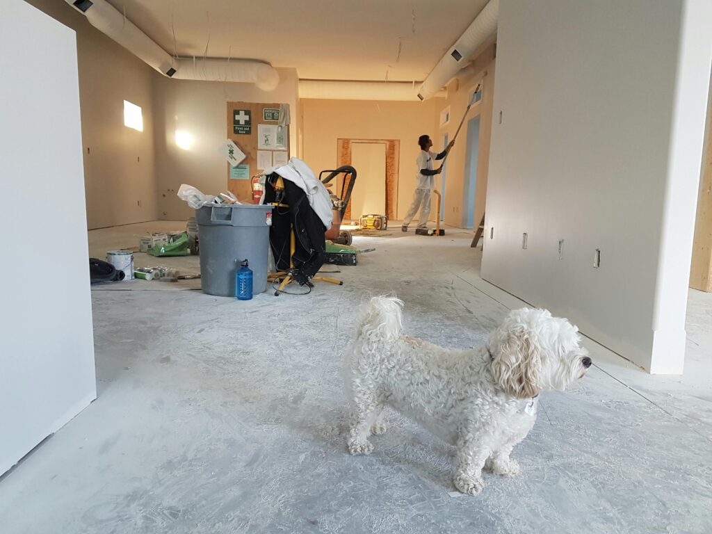 home Interior renovation scene with a painter working and a dog in the foreground.